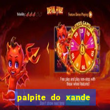 palpite do xande para hoje